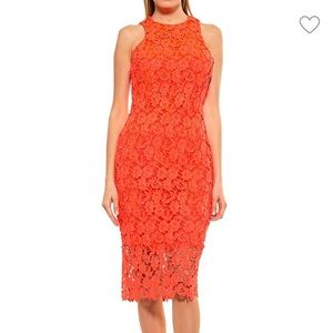 Alexia Admor Floral Lace Sheath Dress - Sz Medium